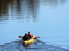 kayaking-on-the-clyde