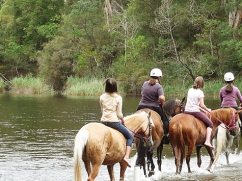 horse-riding-across-river