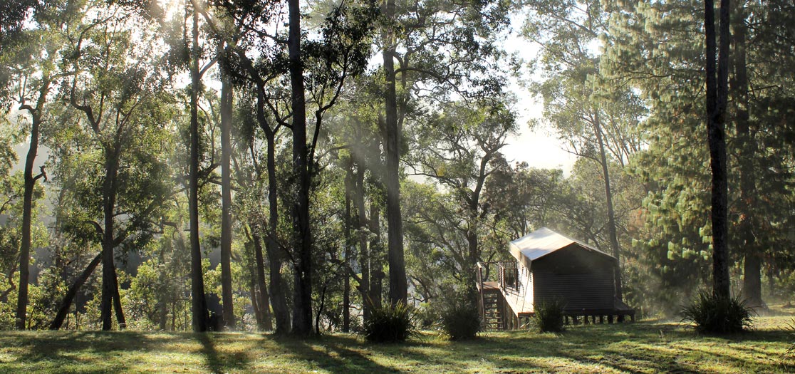 luxury tent shrouded in morning mist